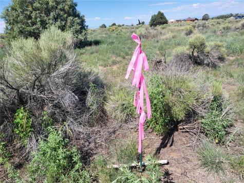993 Pinon Road Crestone CO 81131