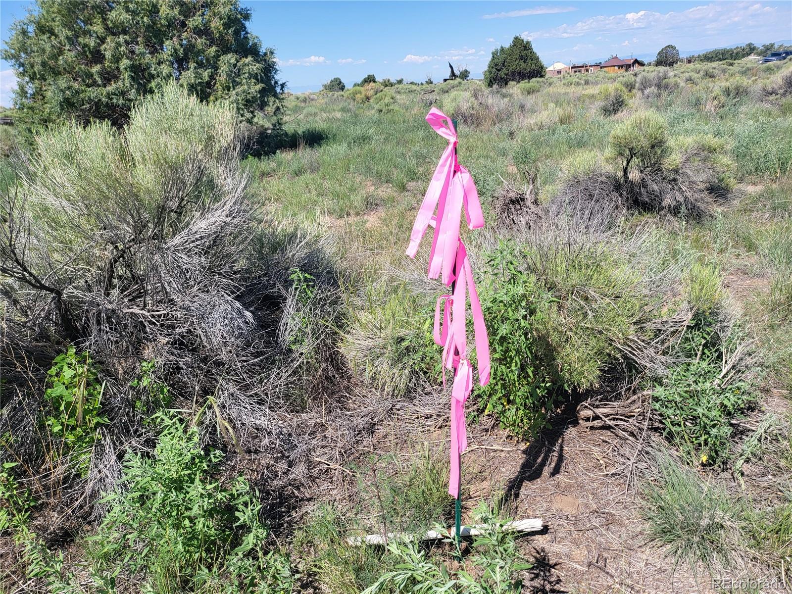 993 Pinon Road Crestone CO 81131