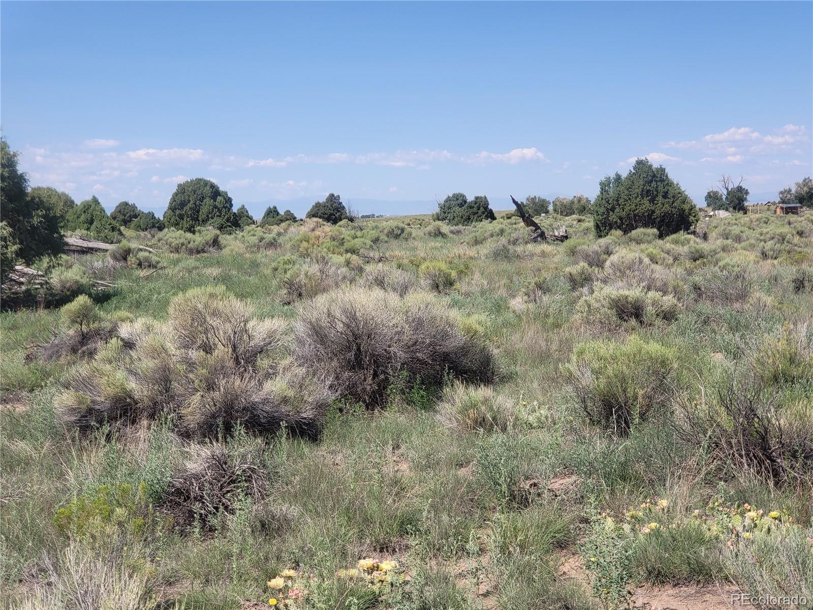 993 Pinon Road Crestone CO 81131