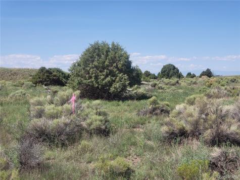 993 Pinon Road Crestone CO 81131