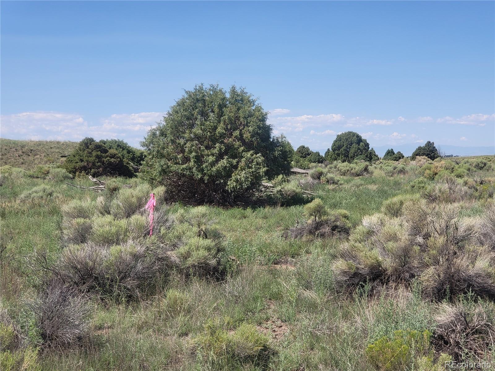 993 Pinon Road Crestone CO 81131
