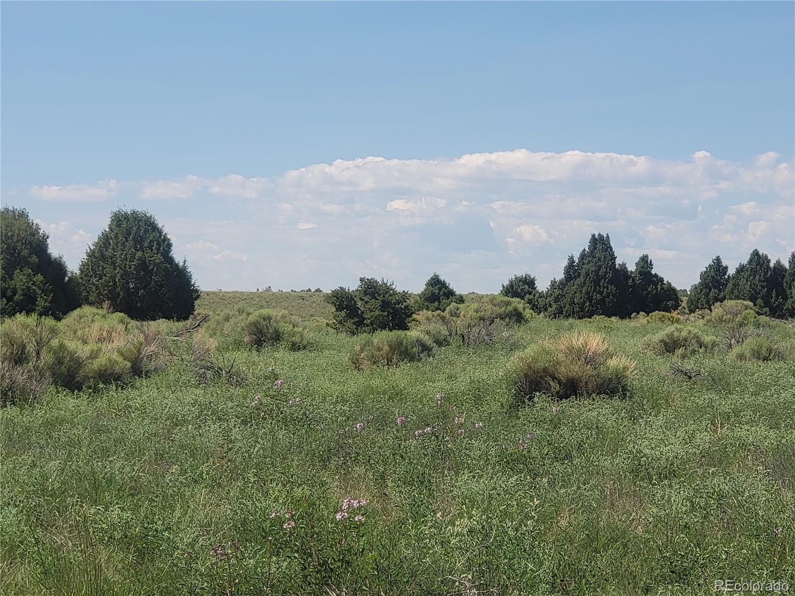 993 Pinon Road Crestone CO 81131
