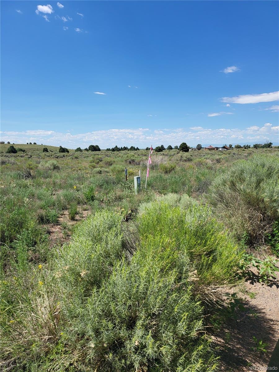 993 Pinon Road Crestone CO 81131