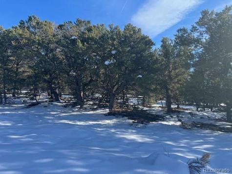 3952 Cheerful Place Crestone CO 81131