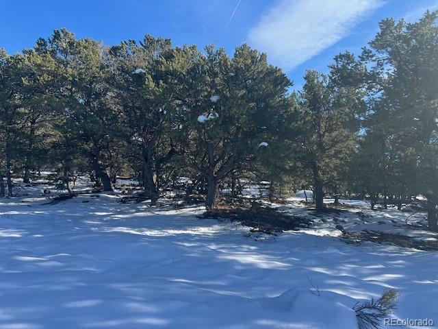 3952 Cheerful Place Crestone CO 81131