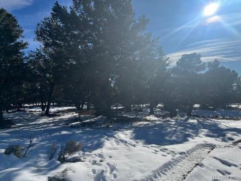 3952 Cheerful Place Crestone CO 81131