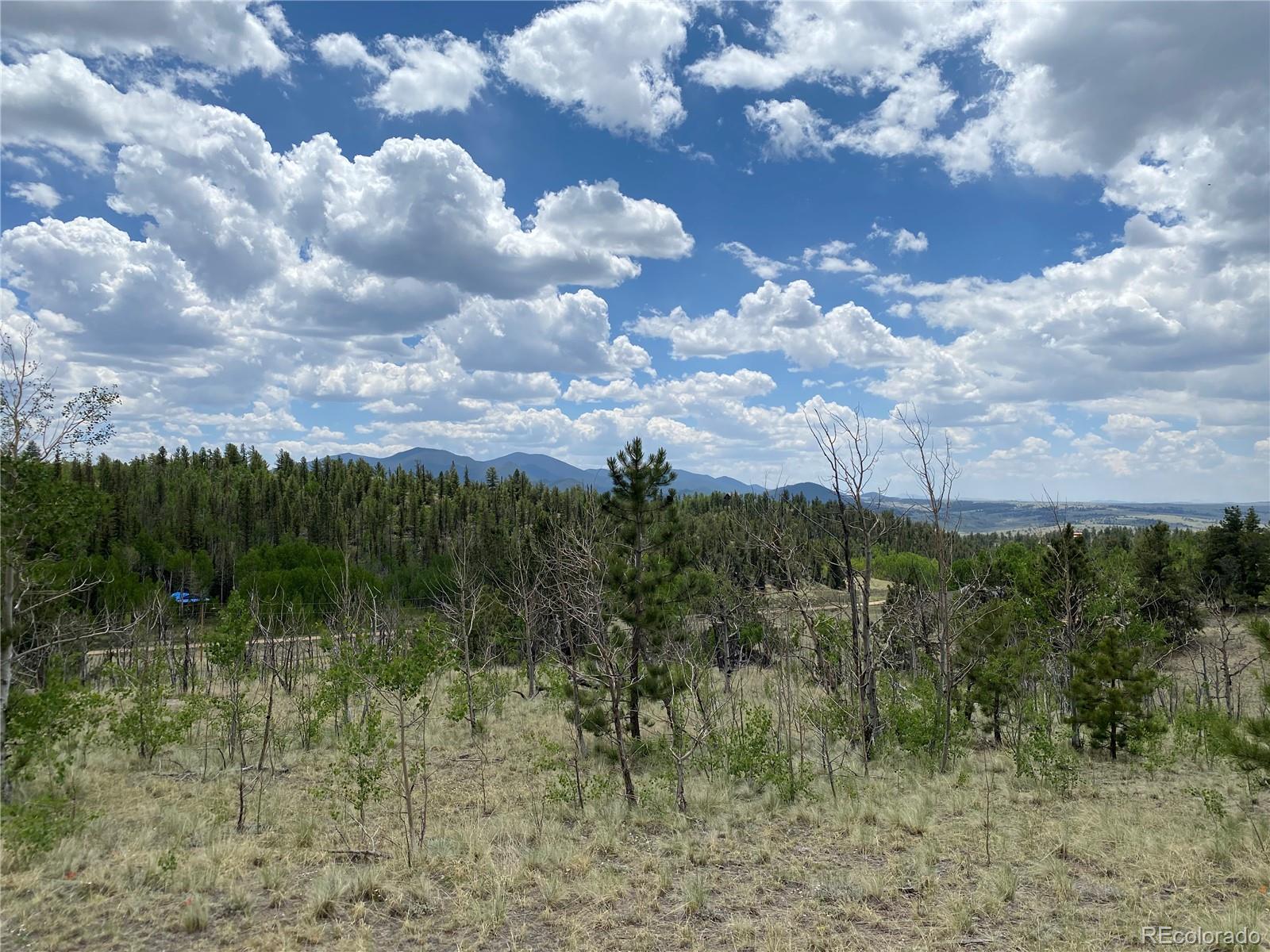 0 Tbd Al Gulch Road Jefferson CO 80456