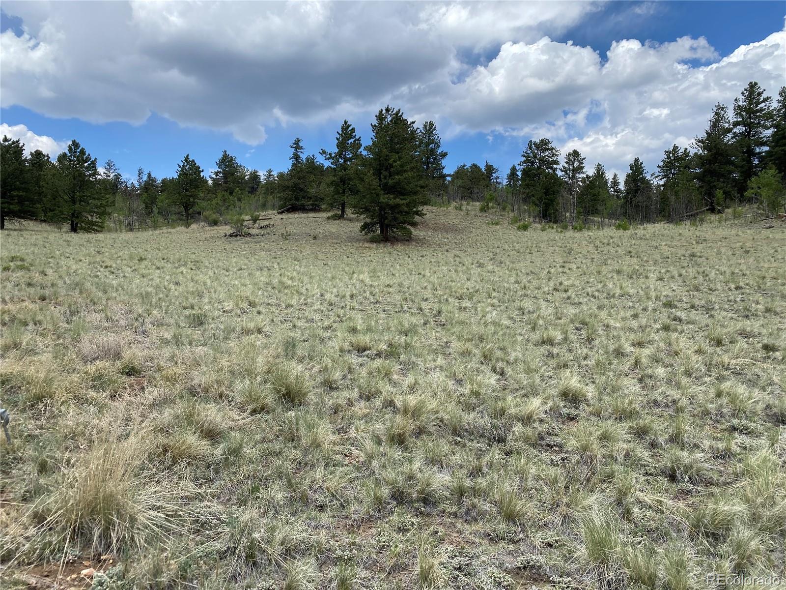0 Tbd Al Gulch Road Jefferson CO 80456