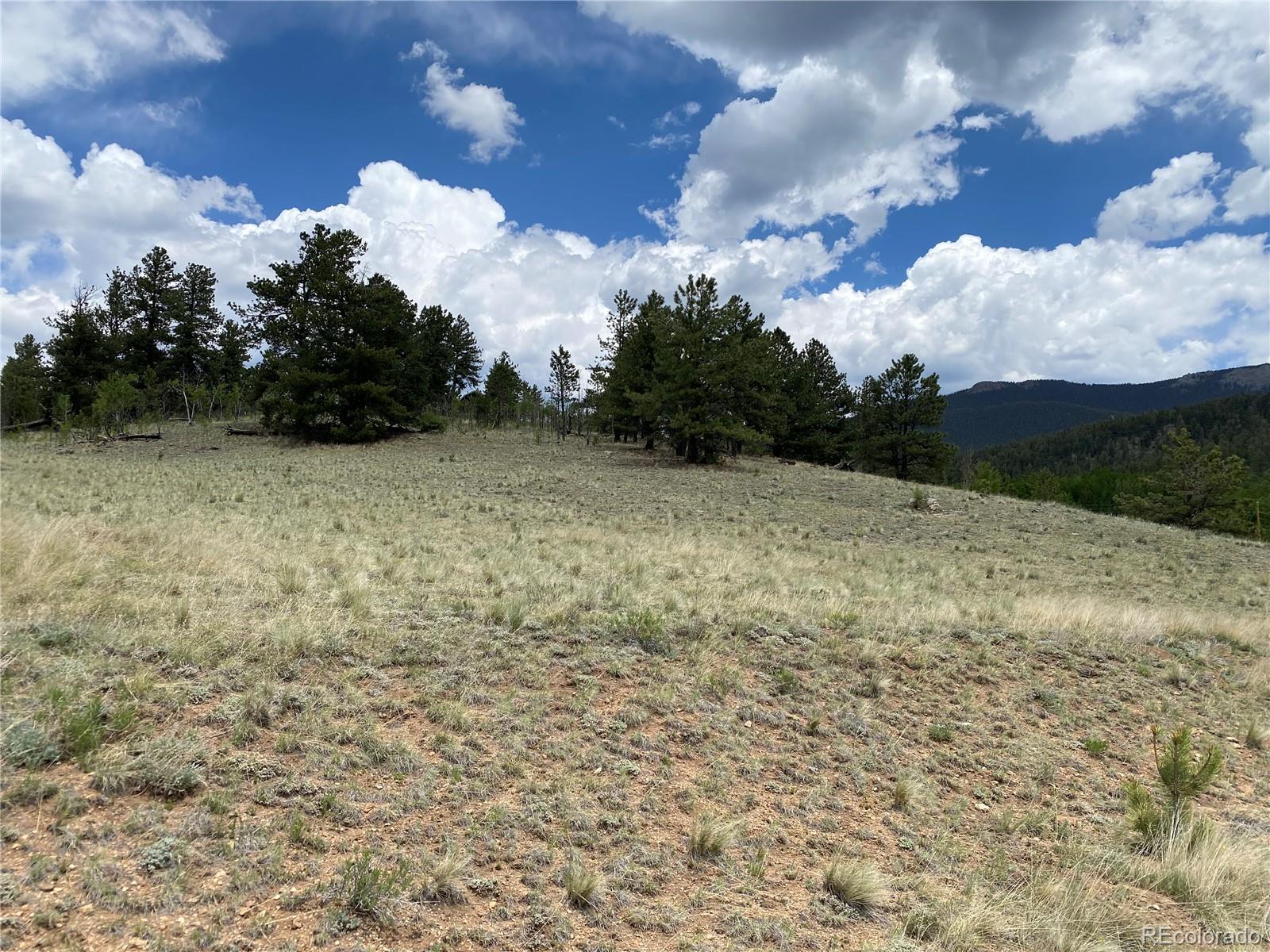 0 Tbd Al Gulch Road Jefferson CO 80456