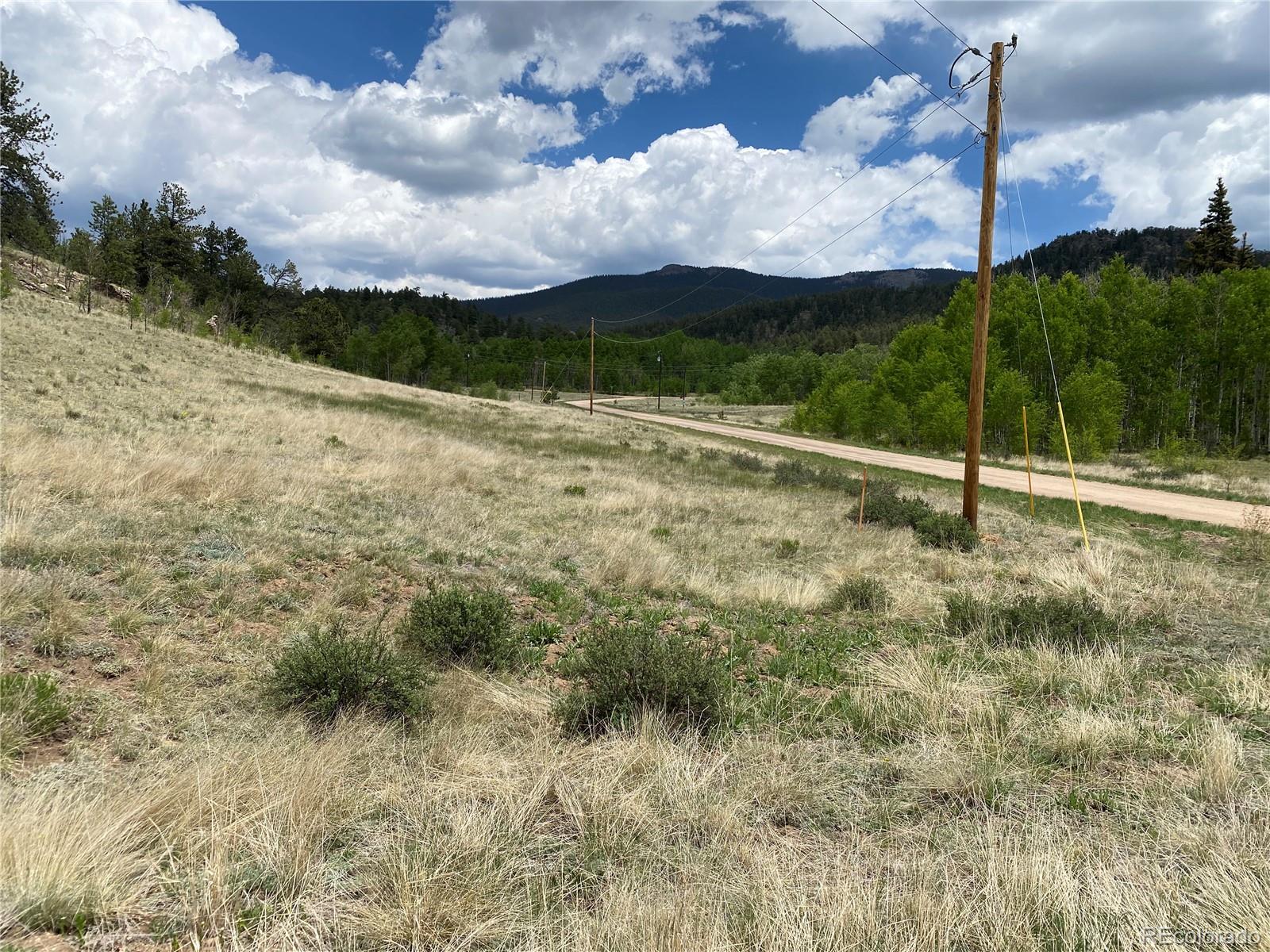 0 Tbd Al Gulch Road Jefferson CO 80456