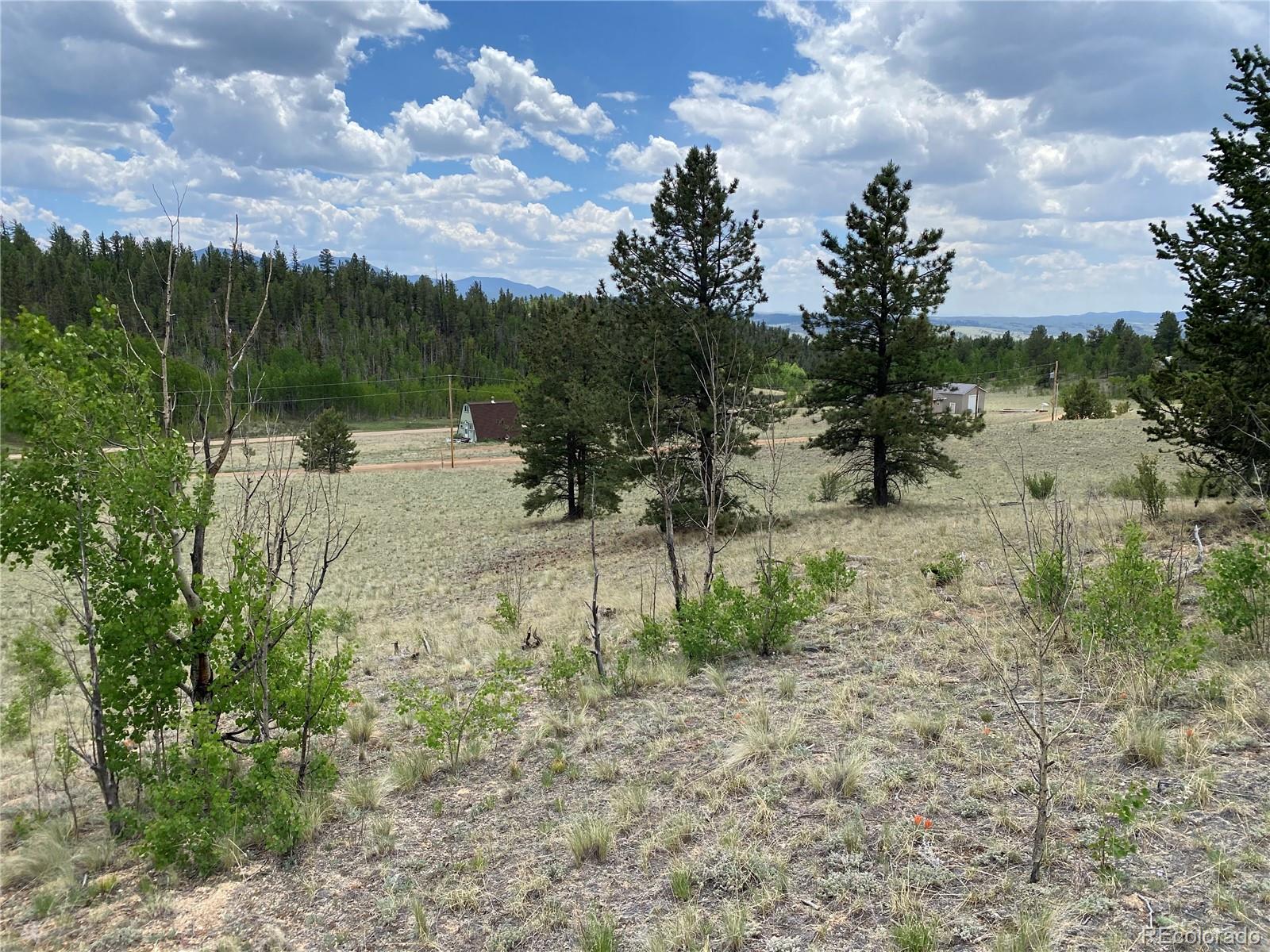 0 Tbd Al Gulch Road Jefferson CO 80456