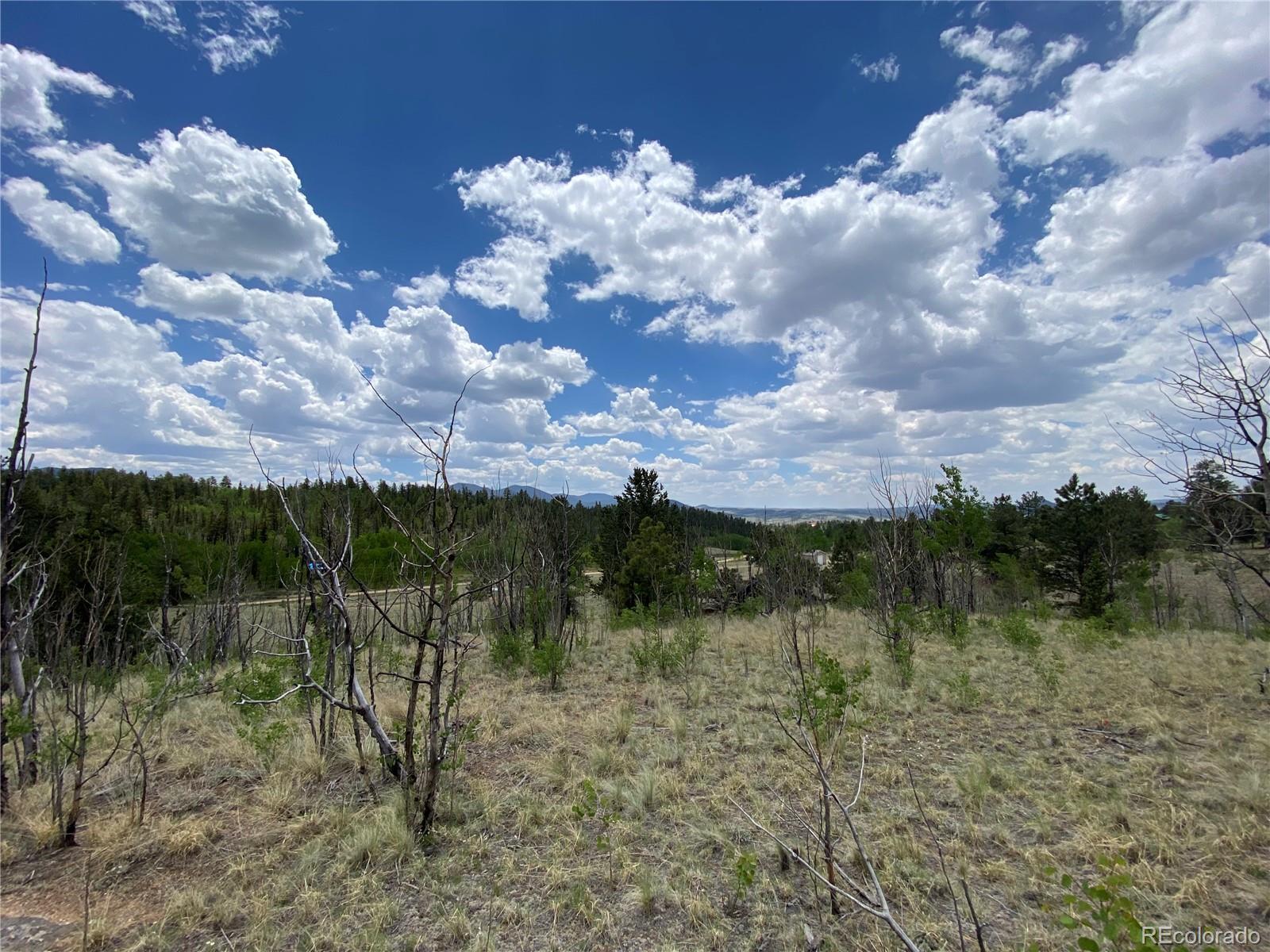 0 Tbd Al Gulch Road Jefferson CO 80456