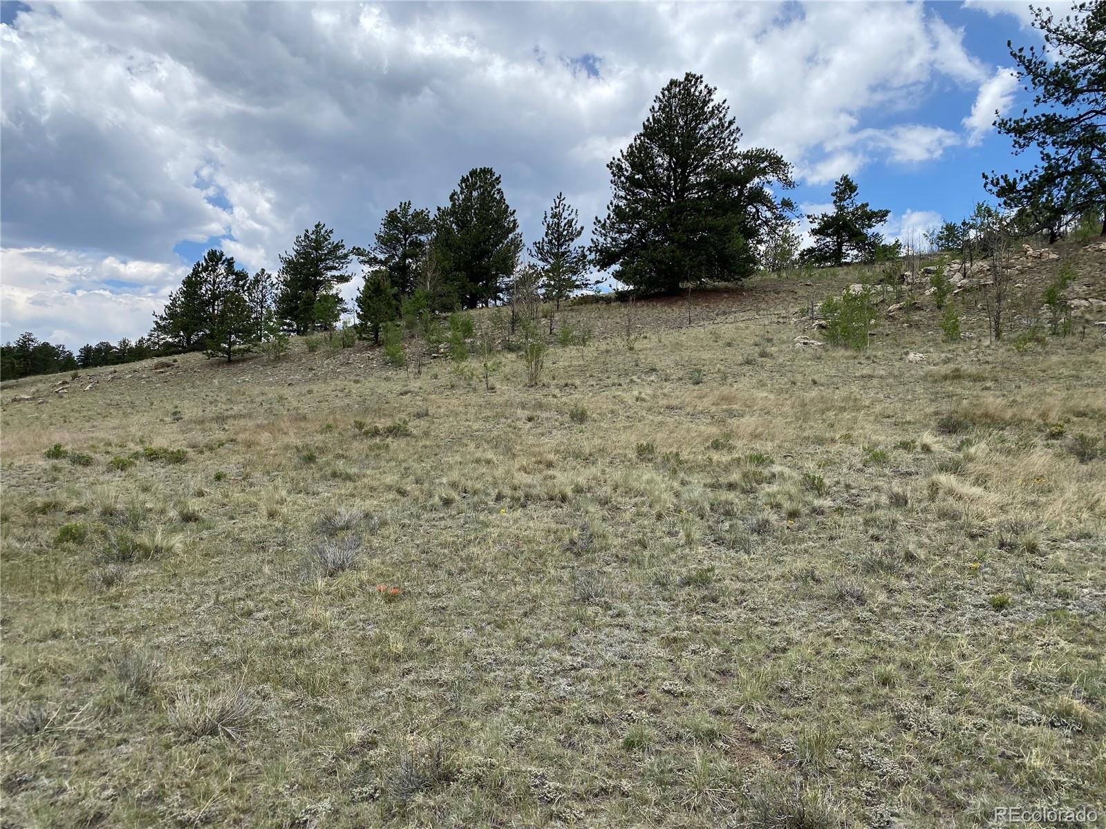 0 Tbd Al Gulch Road Jefferson CO 80456
