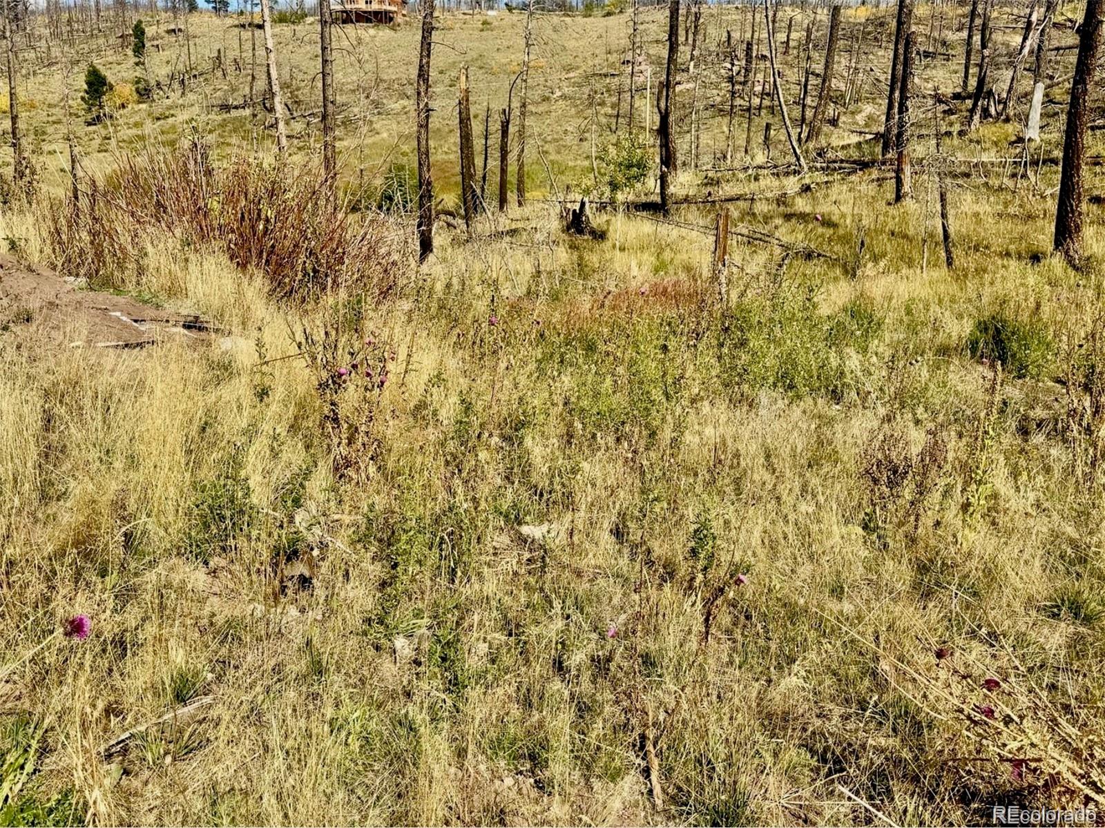 Lot 1005 Foy Place Fort Garland CO 81133