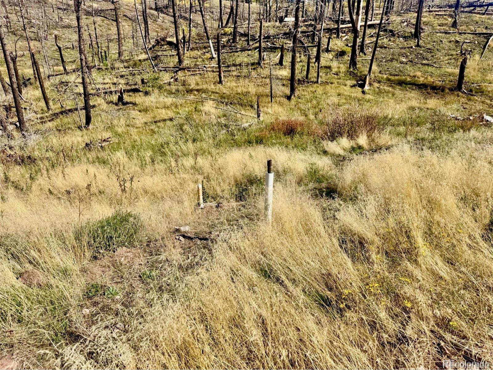 Lot 1005 Foy Place Fort Garland CO 81133