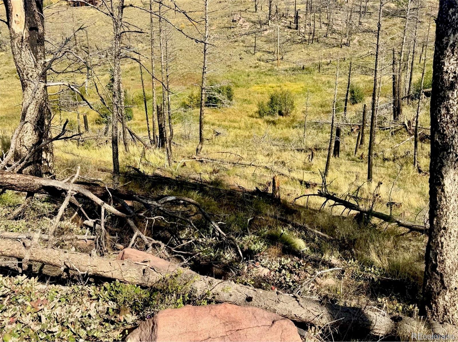Lot 1005 Foy Place Fort Garland CO 81133