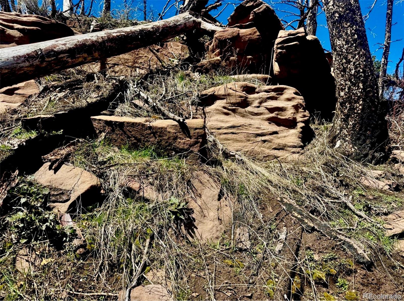 Lot 1005 Foy Place Fort Garland CO 81133