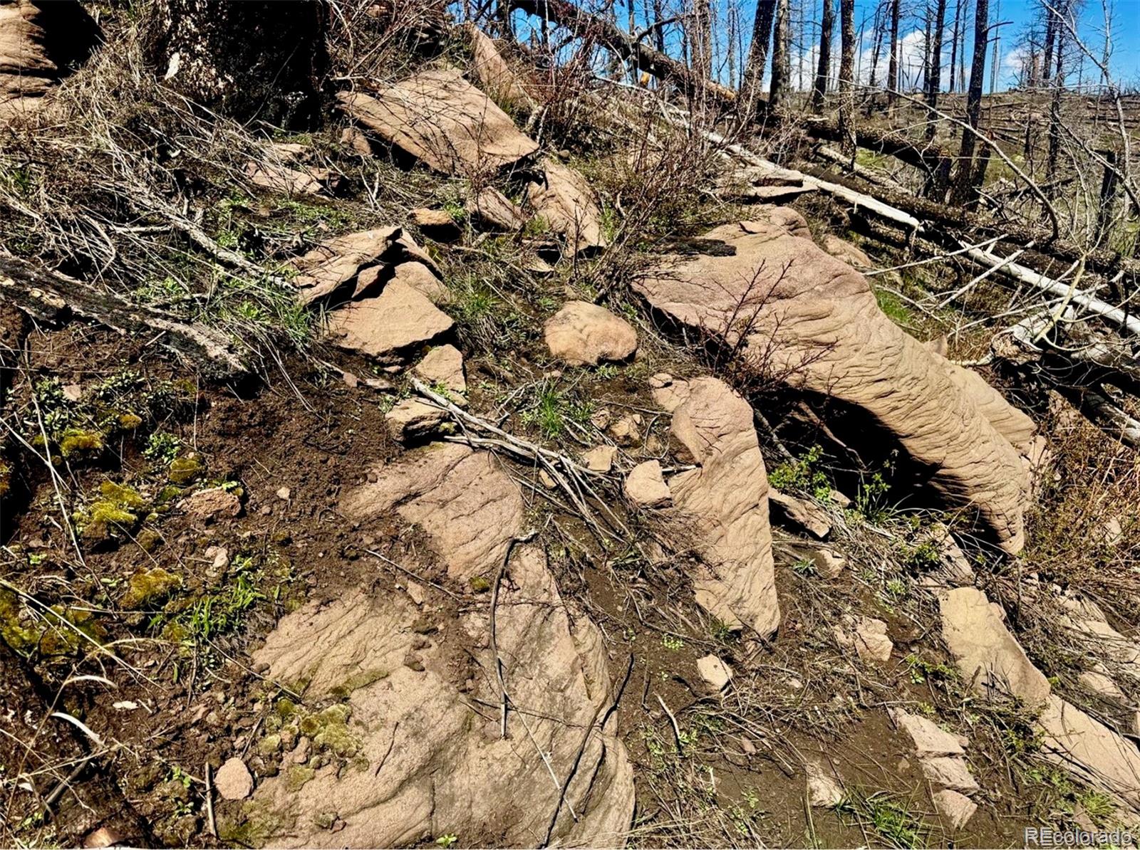 Lot 1005 Foy Place Fort Garland CO 81133