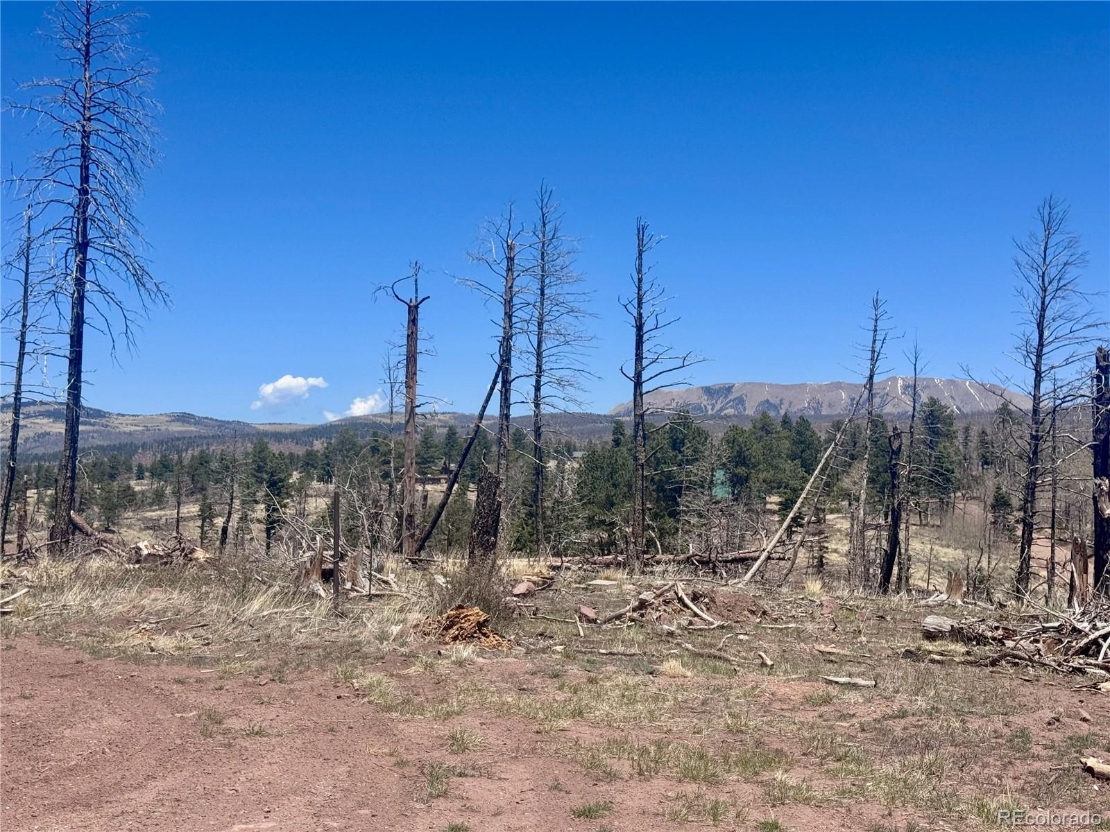 Lot 1005 Foy Place Fort Garland CO 81133