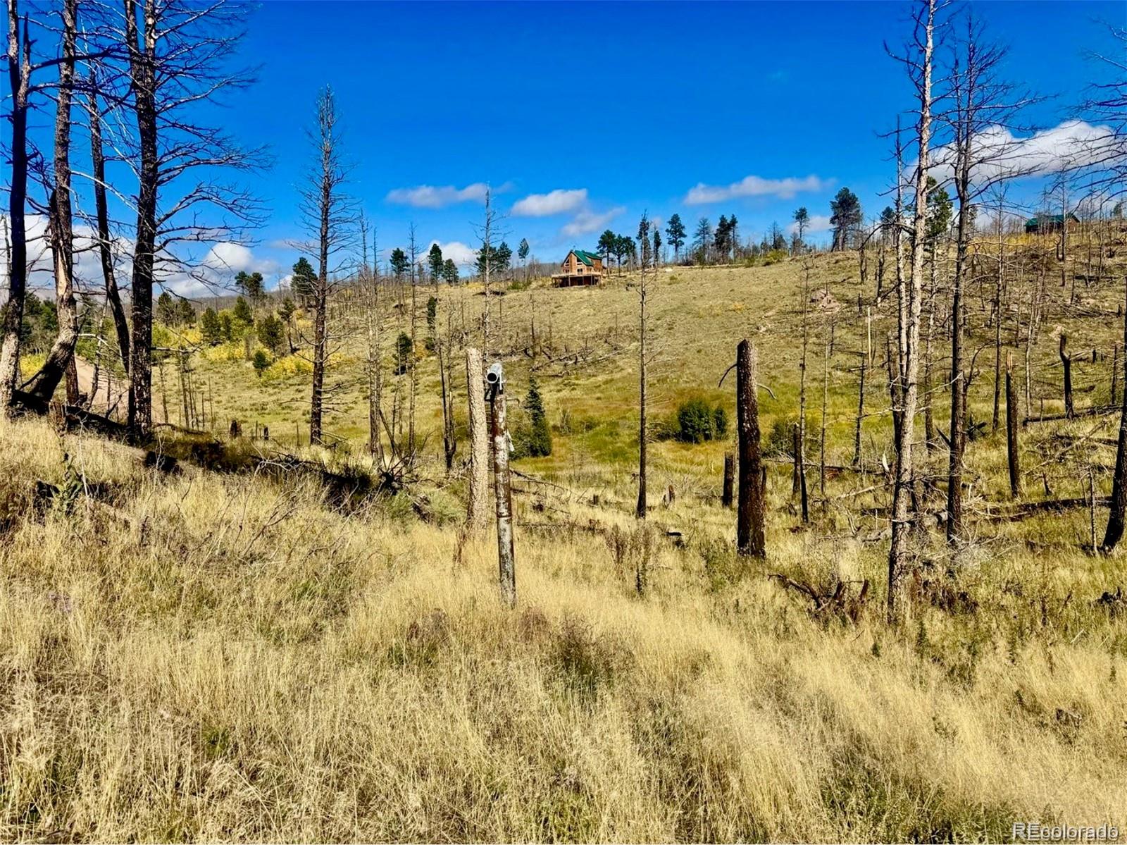 Lot 1005 Foy Place Fort Garland CO 81133