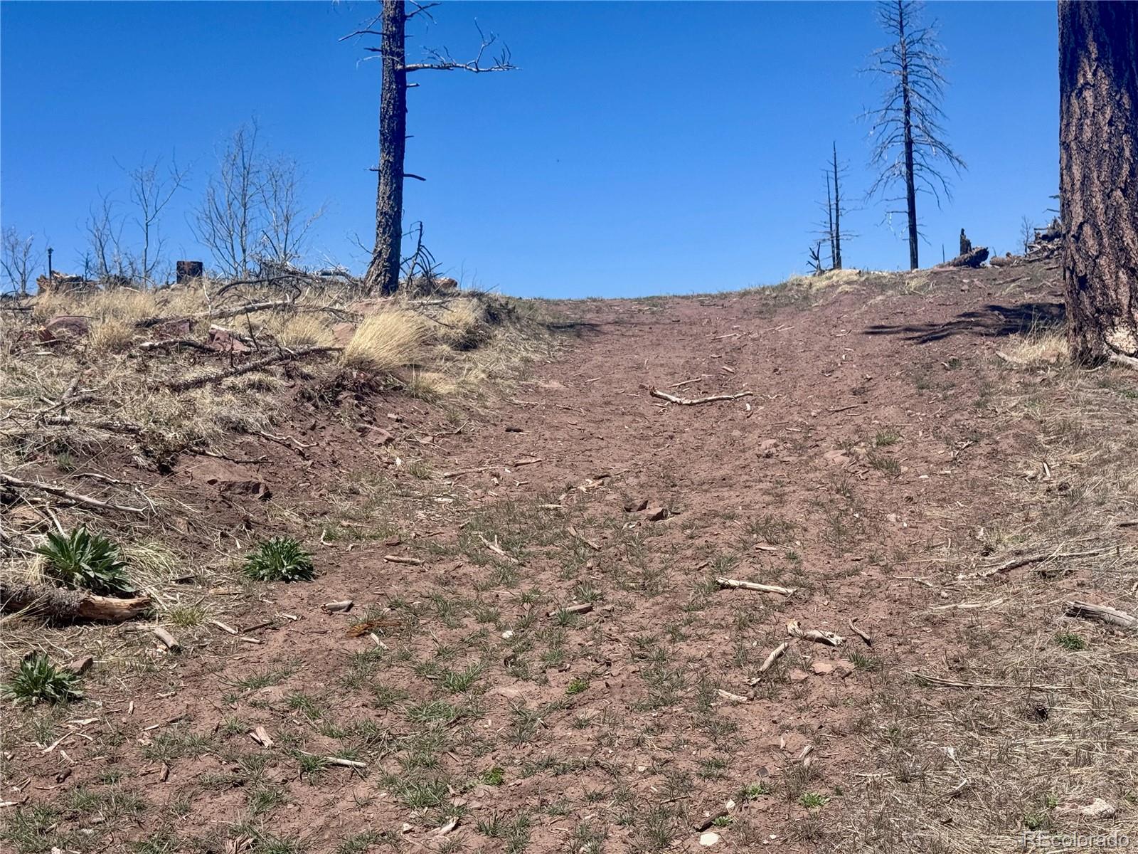 Lot 1005 Foy Place Fort Garland CO 81133