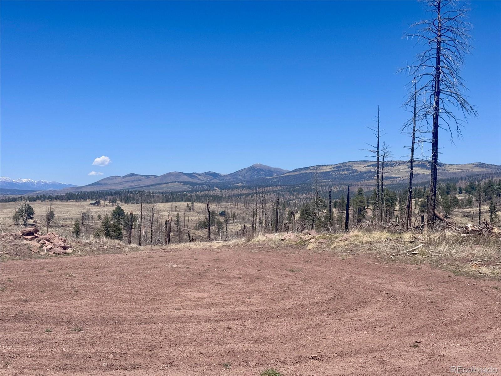 Lot 1005 Foy Place Fort Garland CO 81133