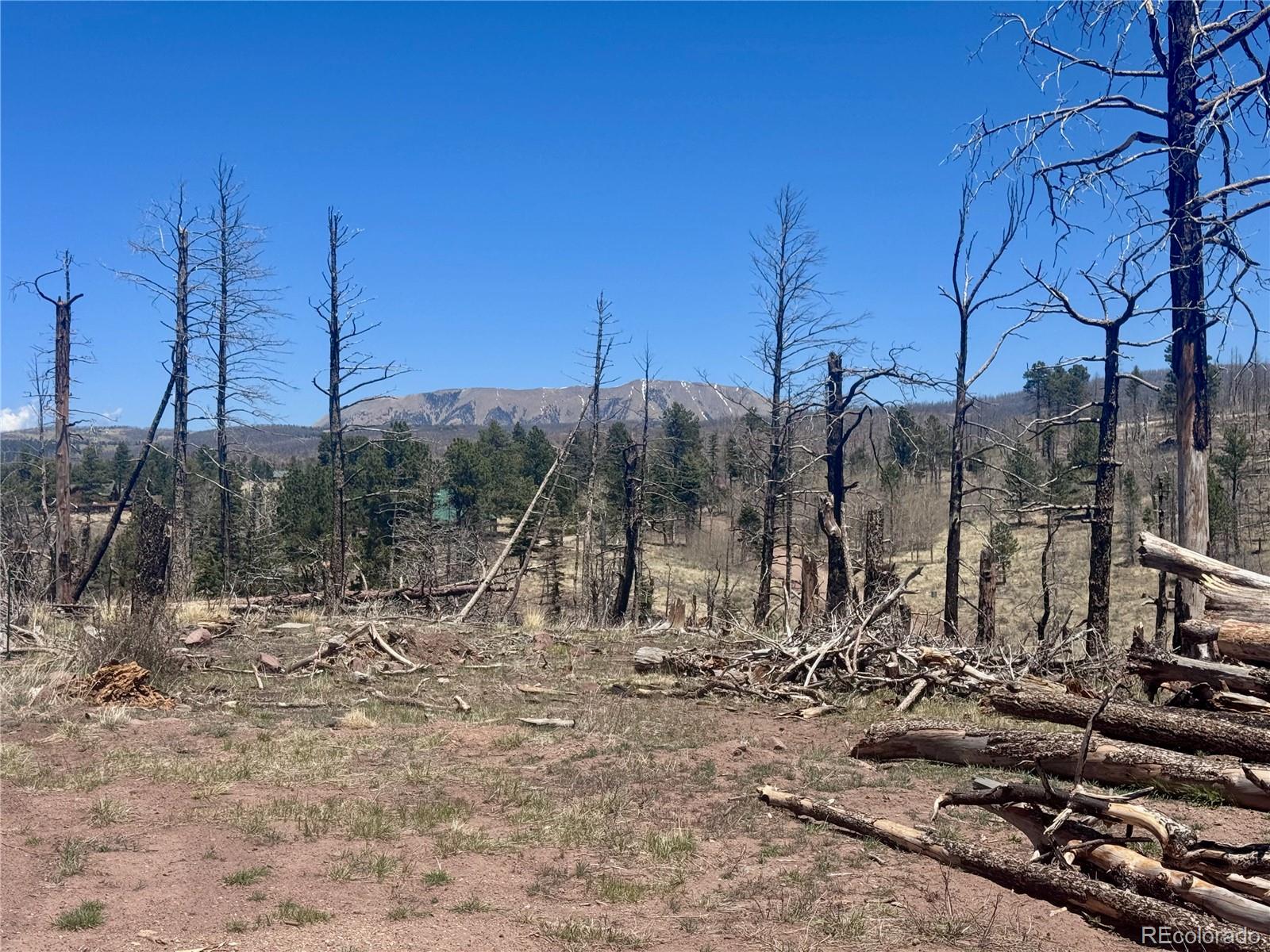 Lot 1005 Foy Place Fort Garland CO 81133