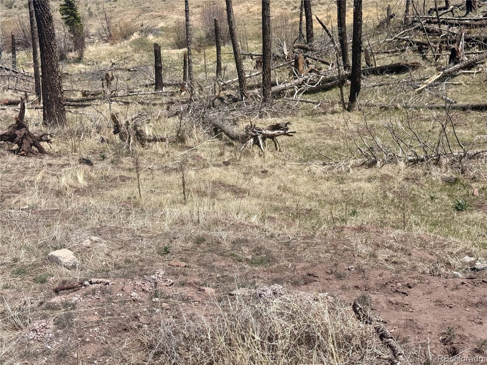 Lot 1005 Foy Place Fort Garland CO 81133