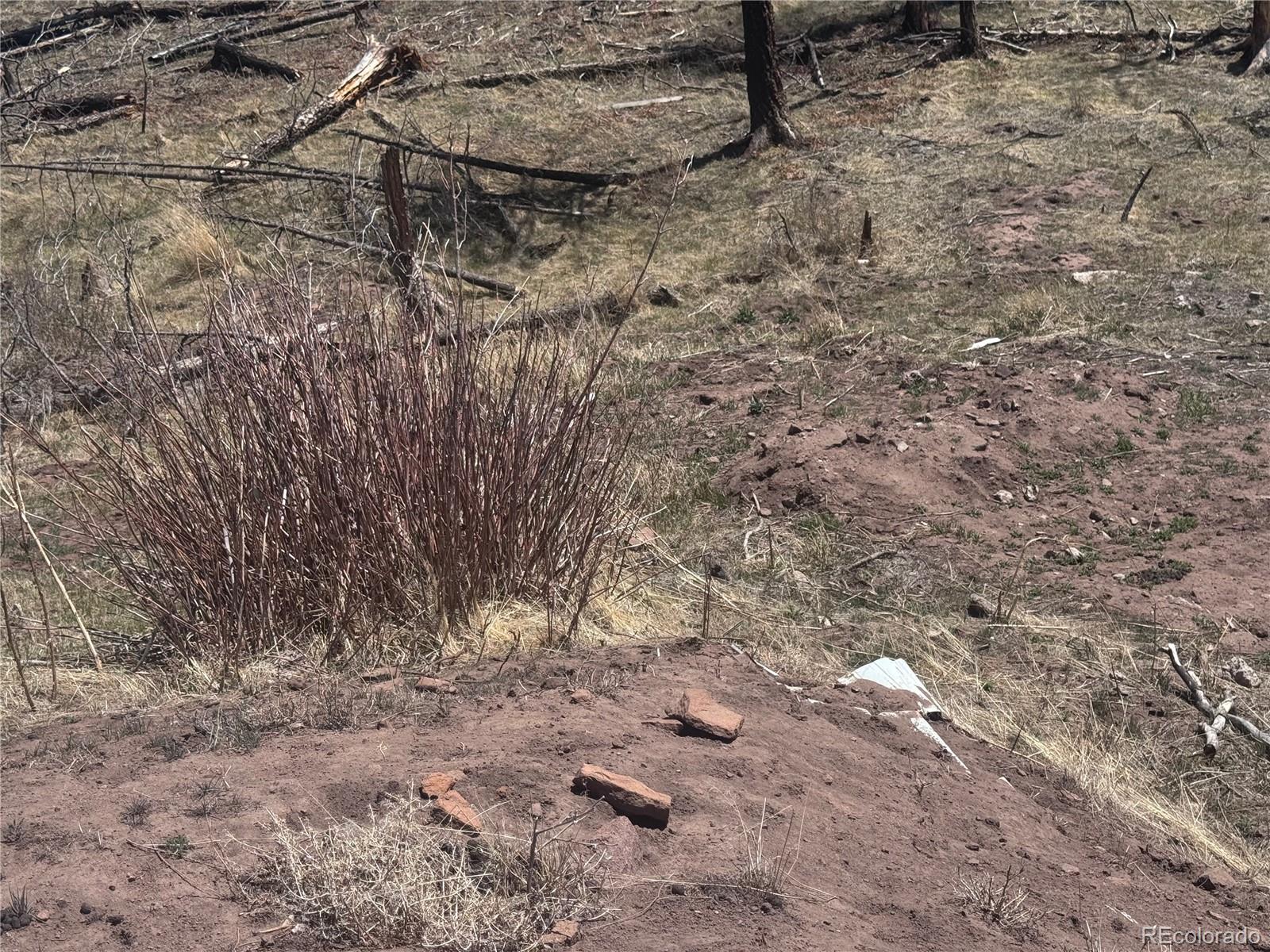 Lot 1005 Foy Place Fort Garland CO 81133