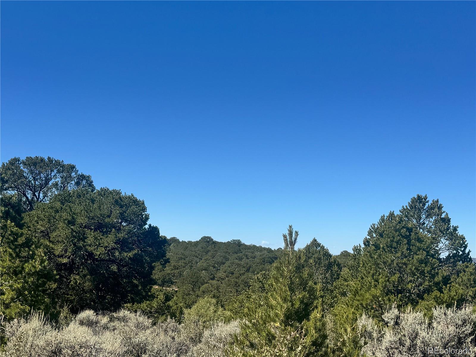 Lot 7878 Stone Road Fort Garland CO 81133