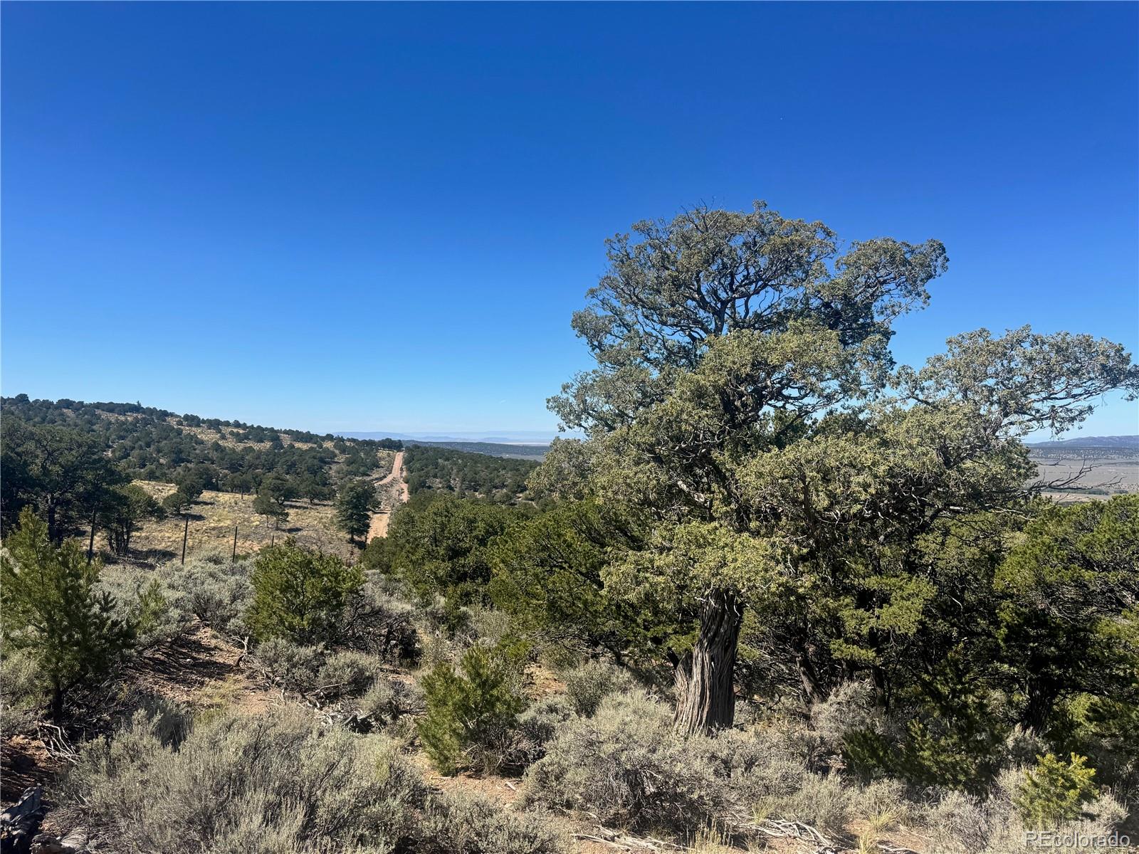Lot 7878 Stone Road Fort Garland CO 81133