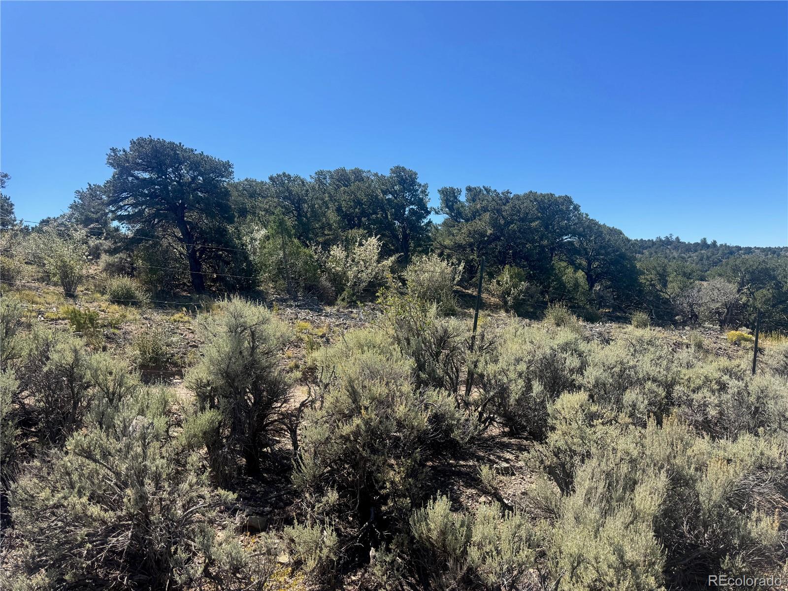 Lot 7878 Stone Road Fort Garland CO 81133