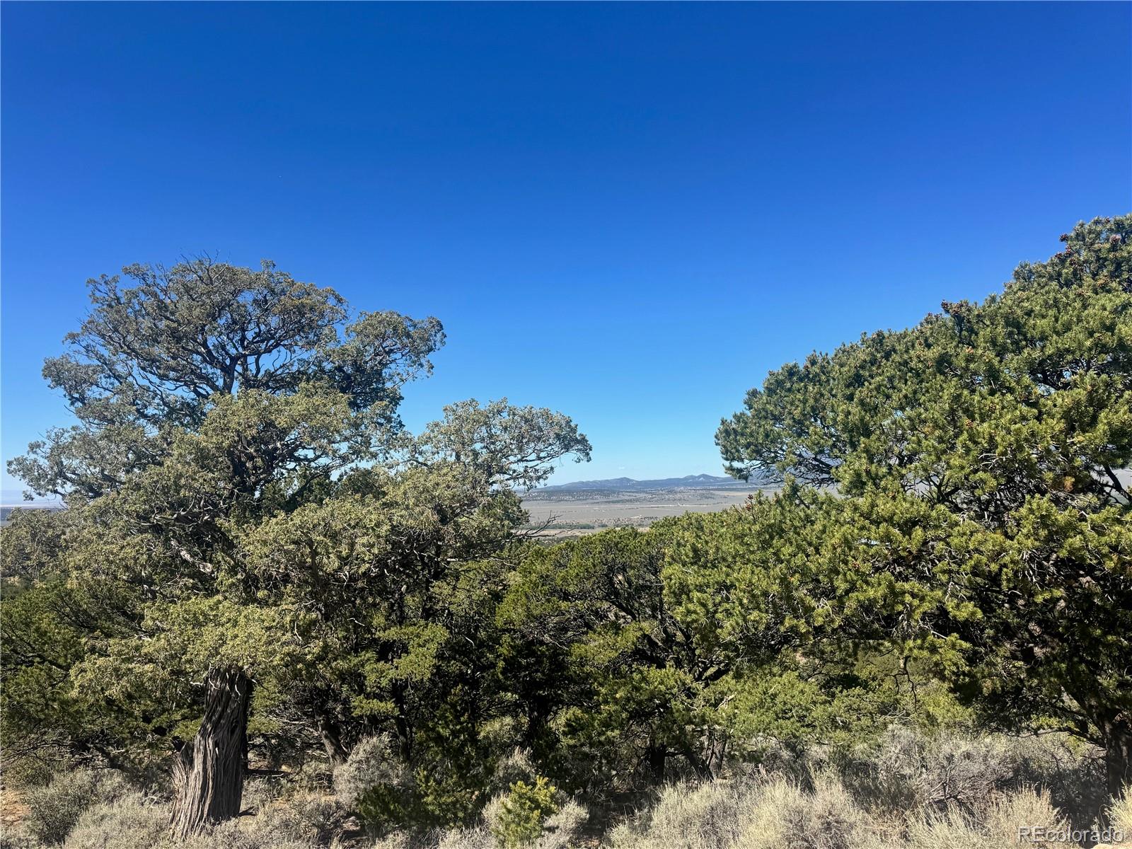 Lot 7878 Stone Road Fort Garland CO 81133