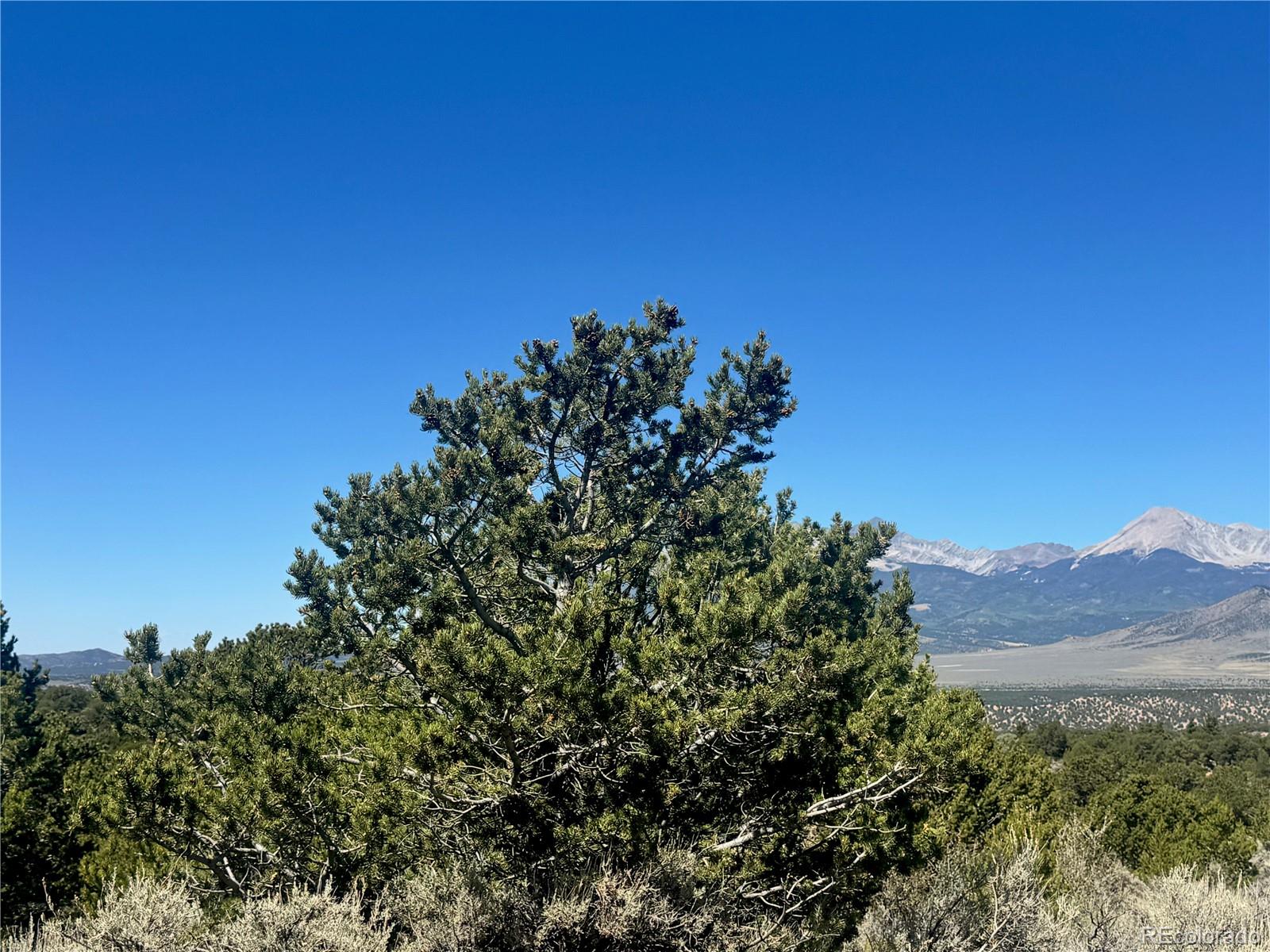 Lot 7878 Stone Road Fort Garland CO 81133