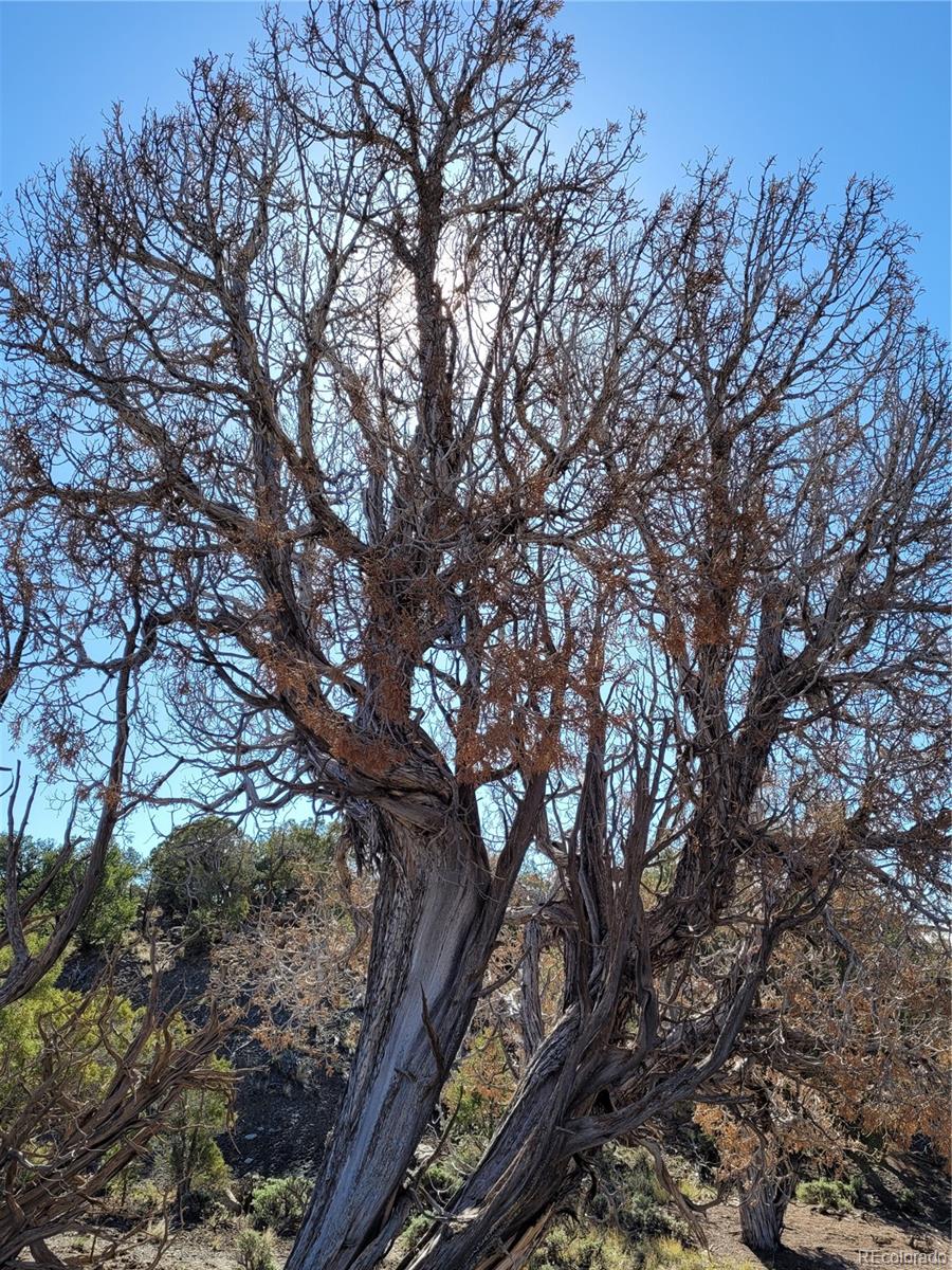 650 Pinon Crest Way Mccoy CO 80463