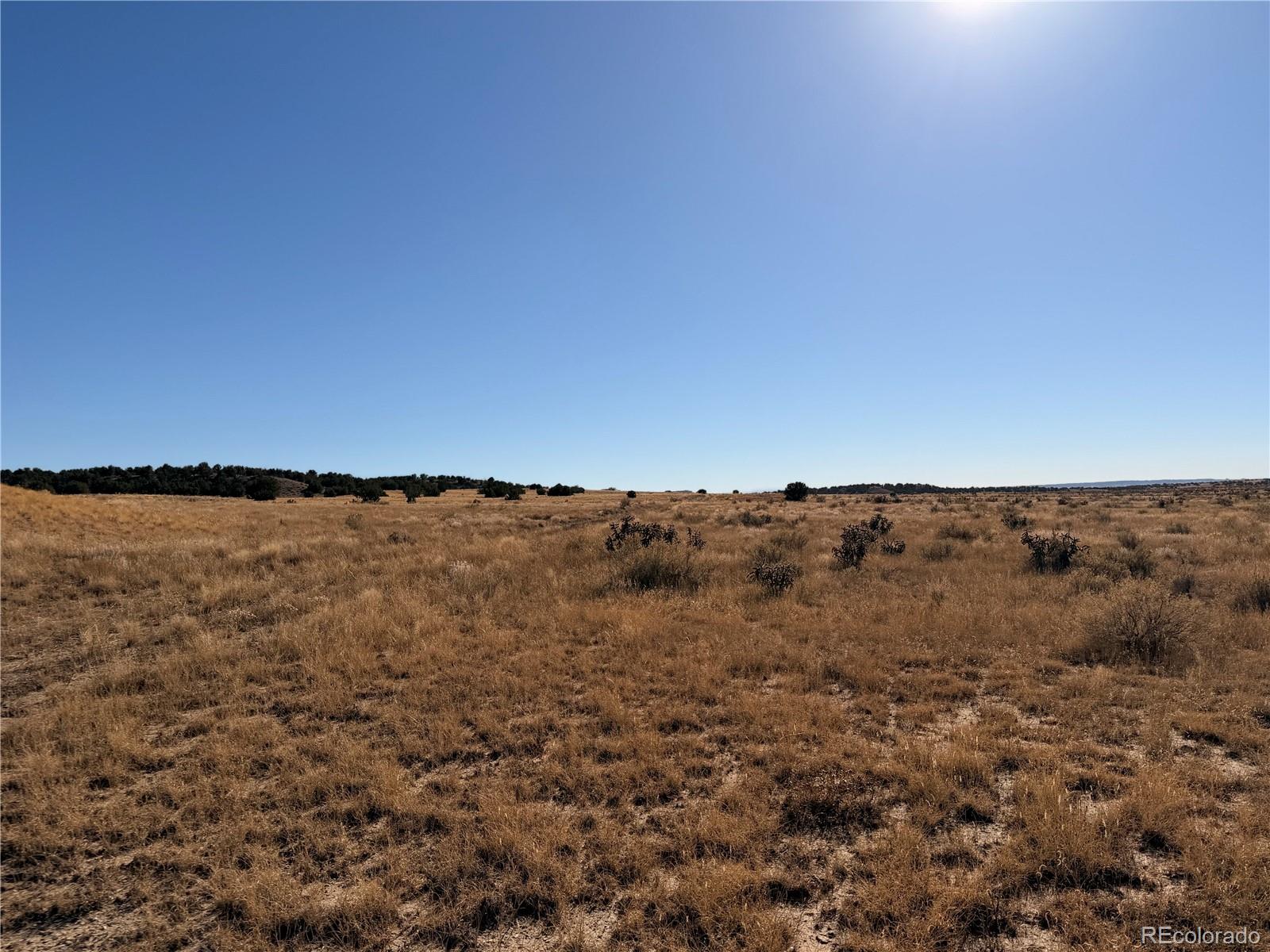 Lot 316 Longhorn Ranch Model CO 81059