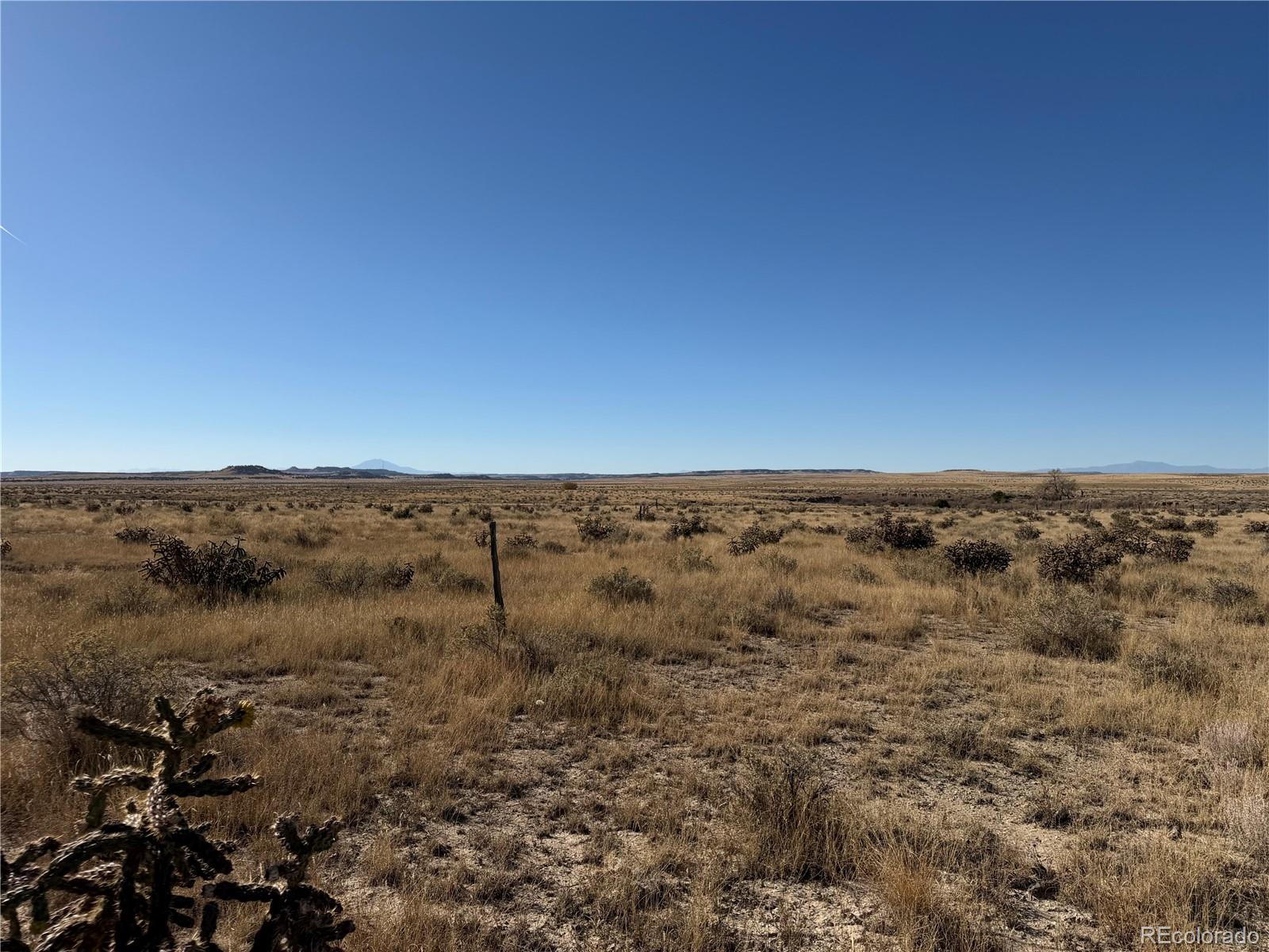 Lot 316 Longhorn Ranch Model CO 81059
