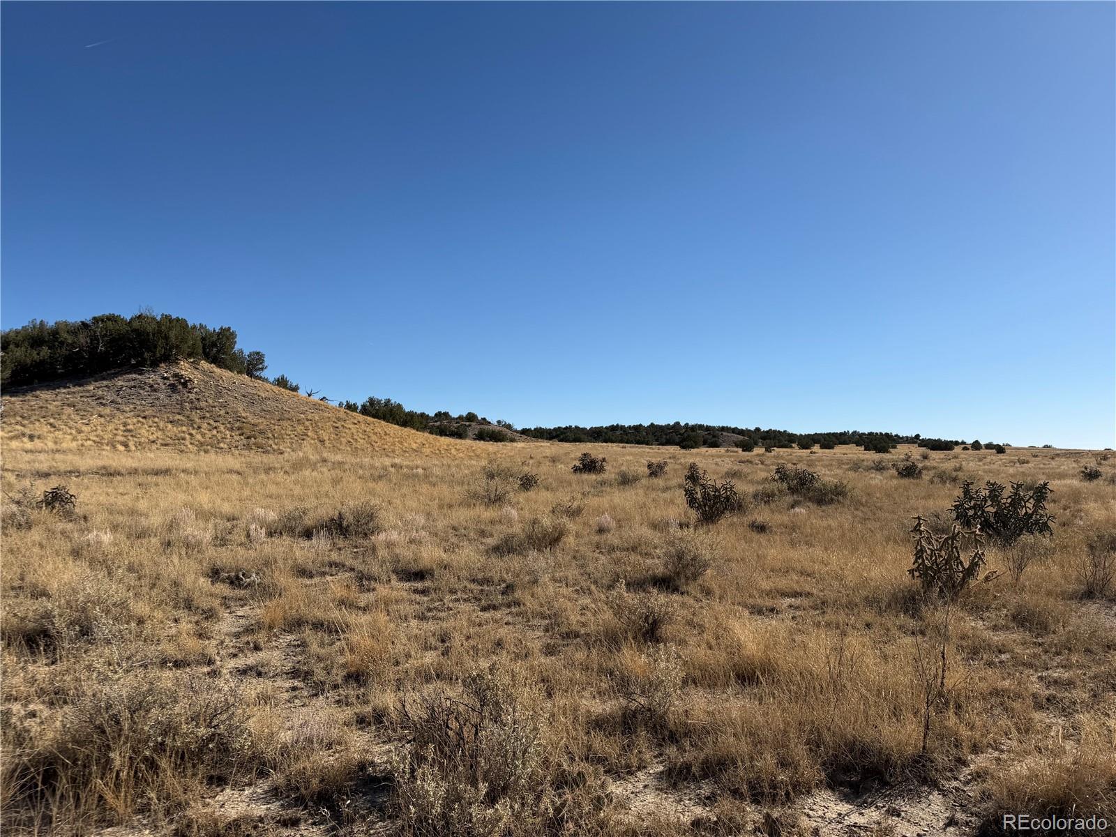 Lot 316 Longhorn Ranch Model CO 81059