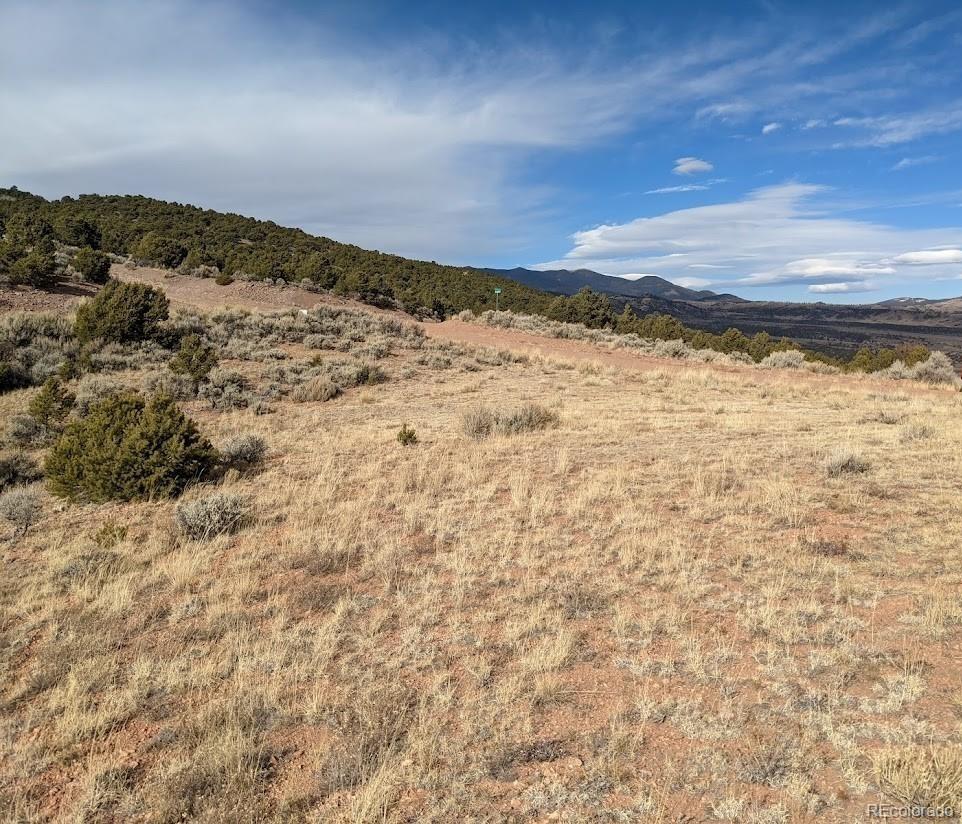 4389 Beekman Road Fort Garland CO 81133