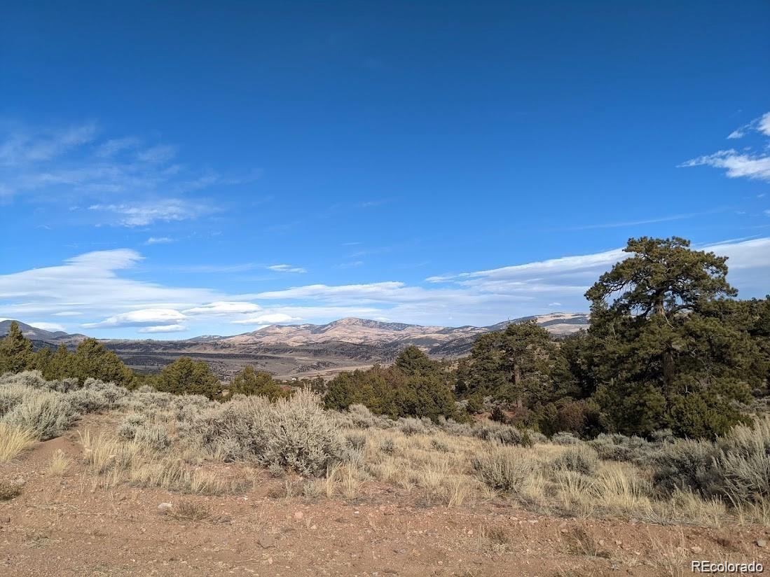 4389 Beekman Road Fort Garland CO 81133