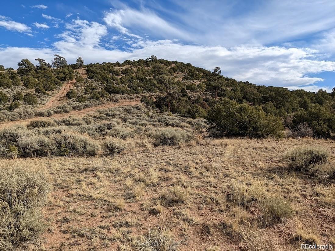 4389 Beekman Road Fort Garland CO 81133