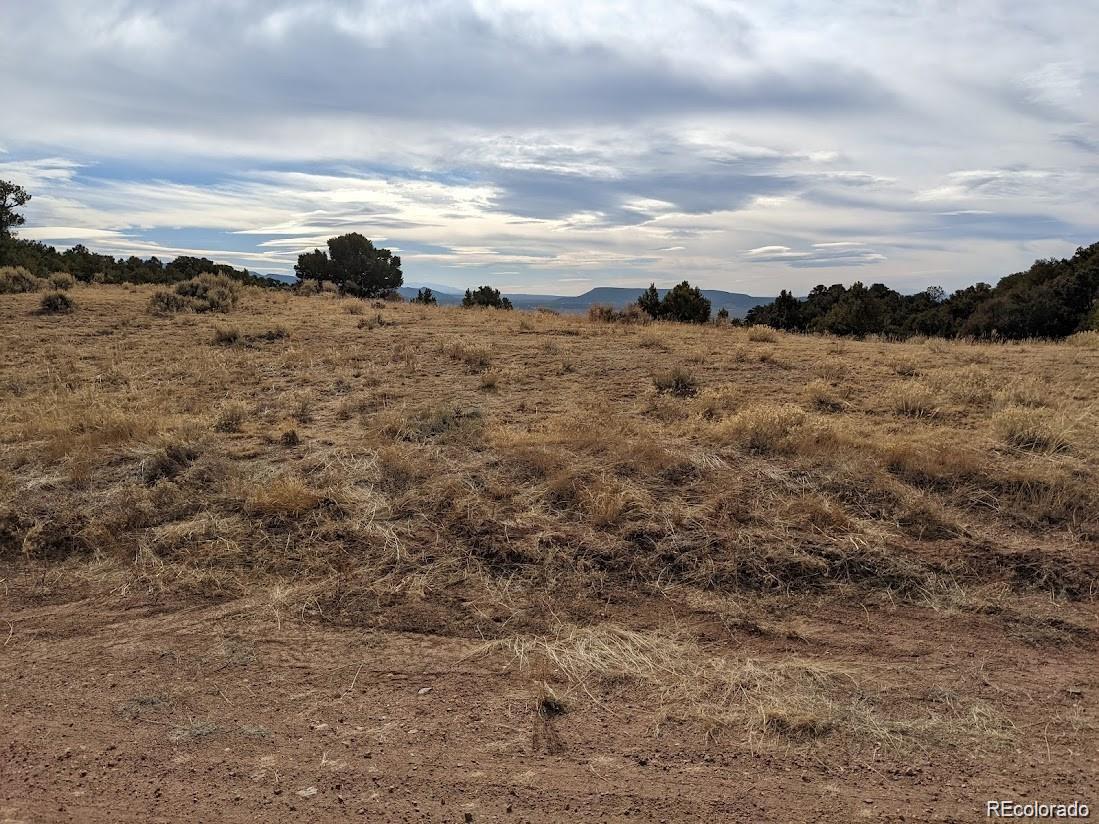 4389 Beekman Road Fort Garland CO 81133