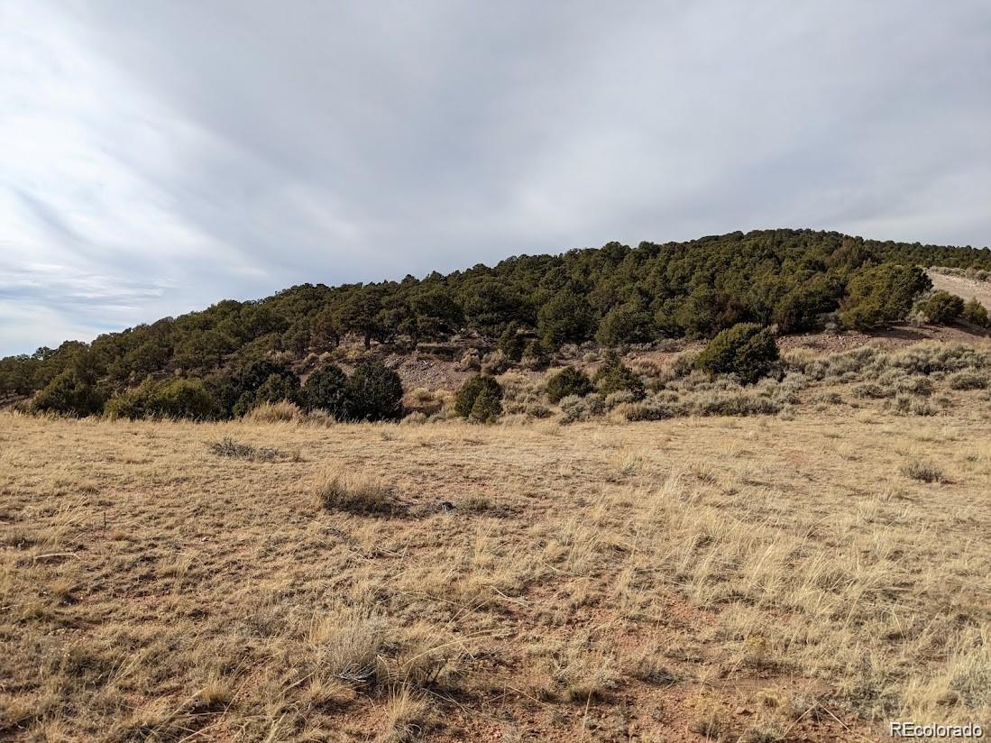 4389 Beekman Road Fort Garland CO 81133