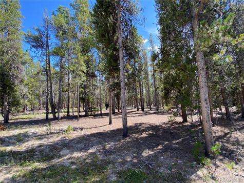 349 Augusta Drive Leadville CO 80461