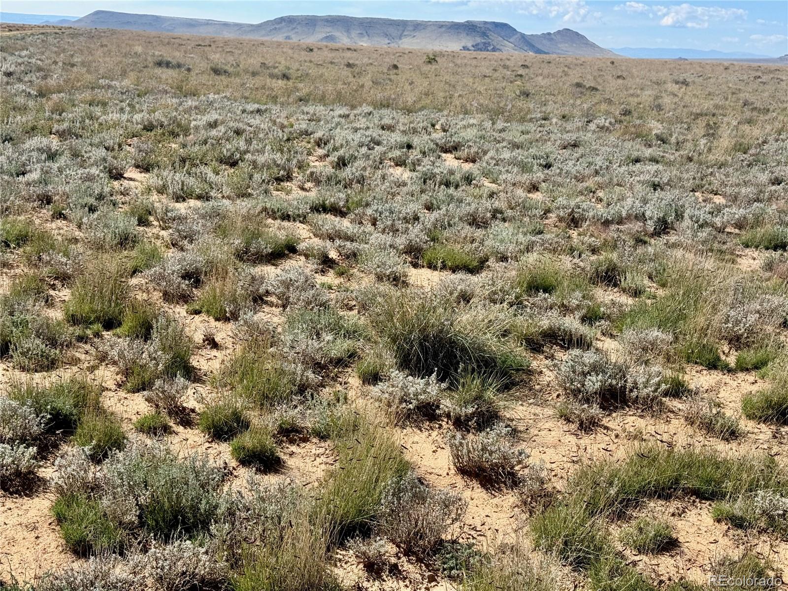 Lot 81 Jason Trail San Luis CO 81152