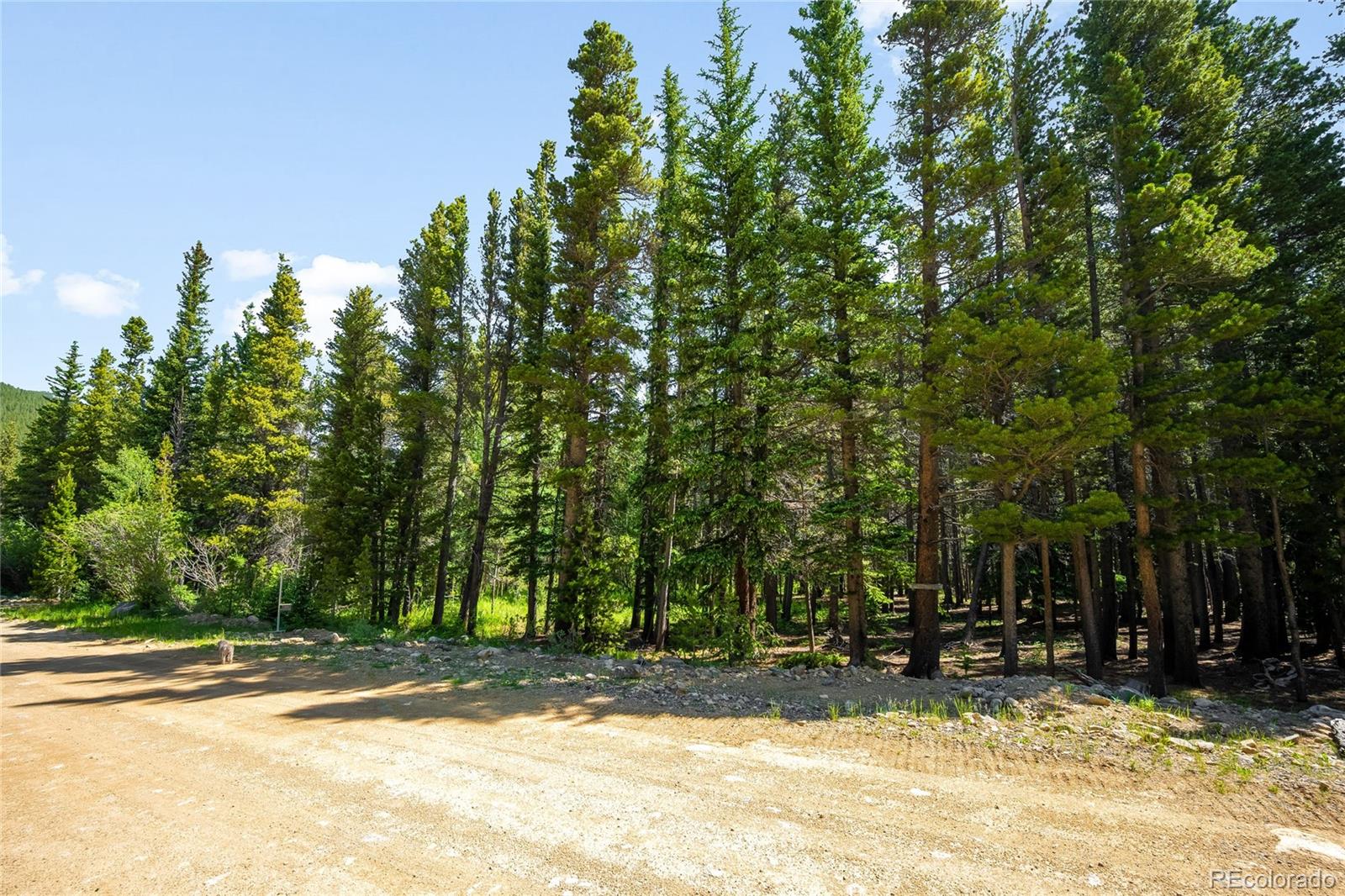 112 Deer Road Idaho Springs CO 80452