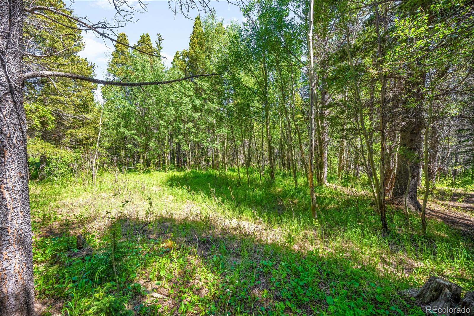112 Deer Road Idaho Springs CO 80452
