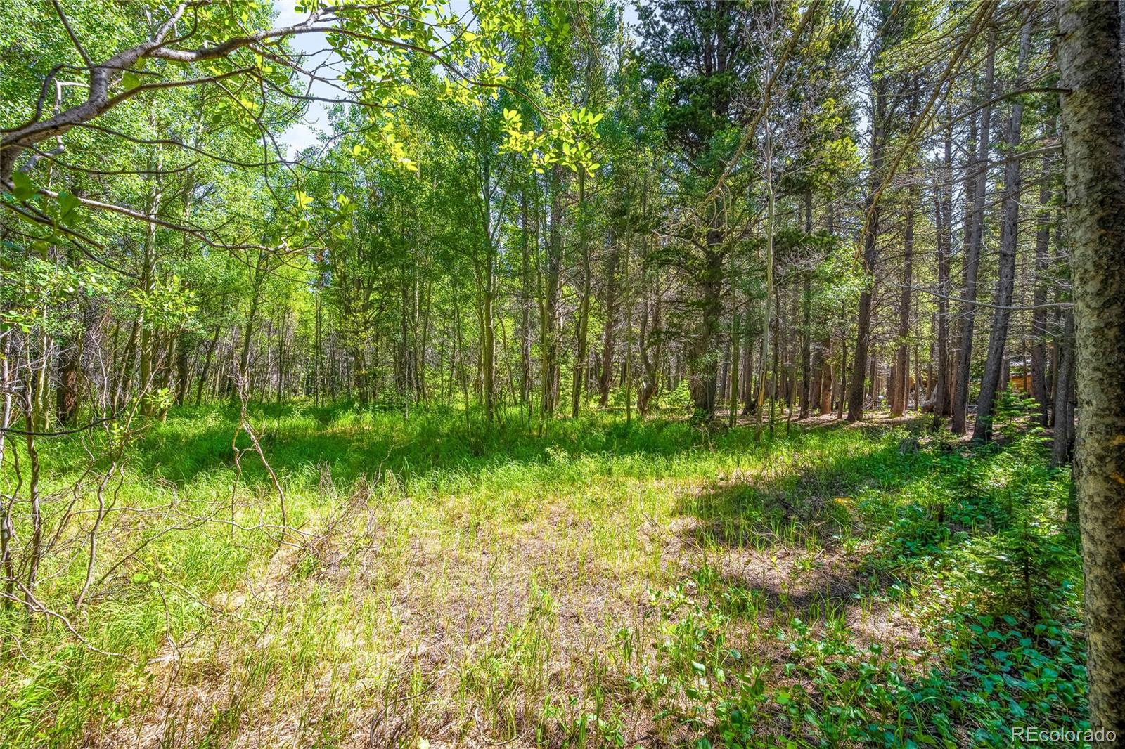 112 Deer Road Idaho Springs CO 80452