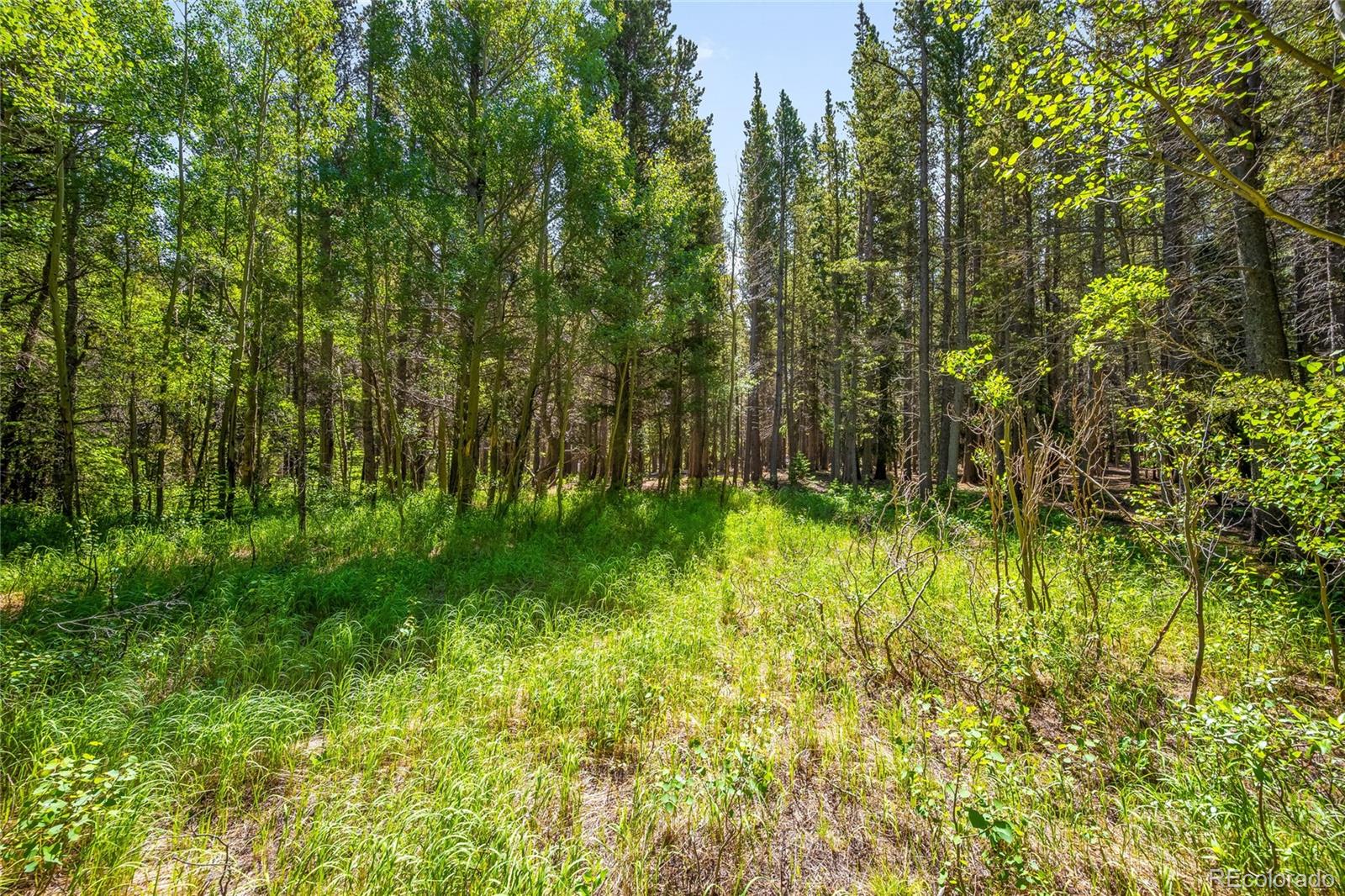 112 Deer Road Idaho Springs CO 80452