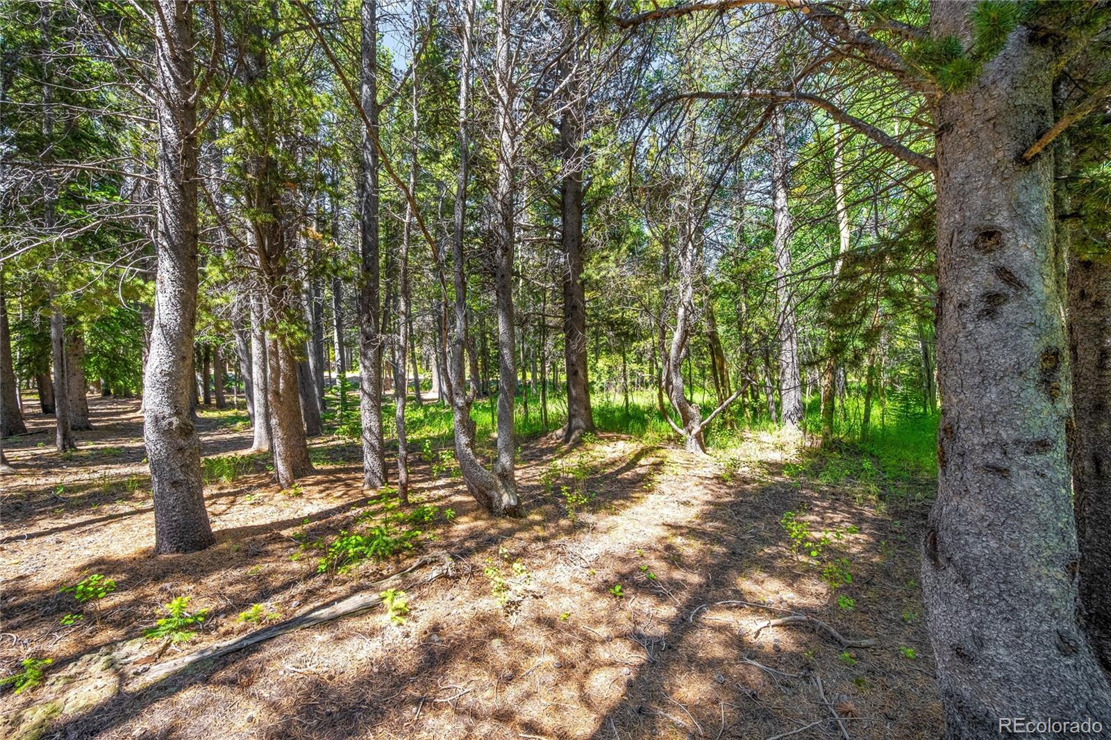 112 Deer Road Idaho Springs CO 80452